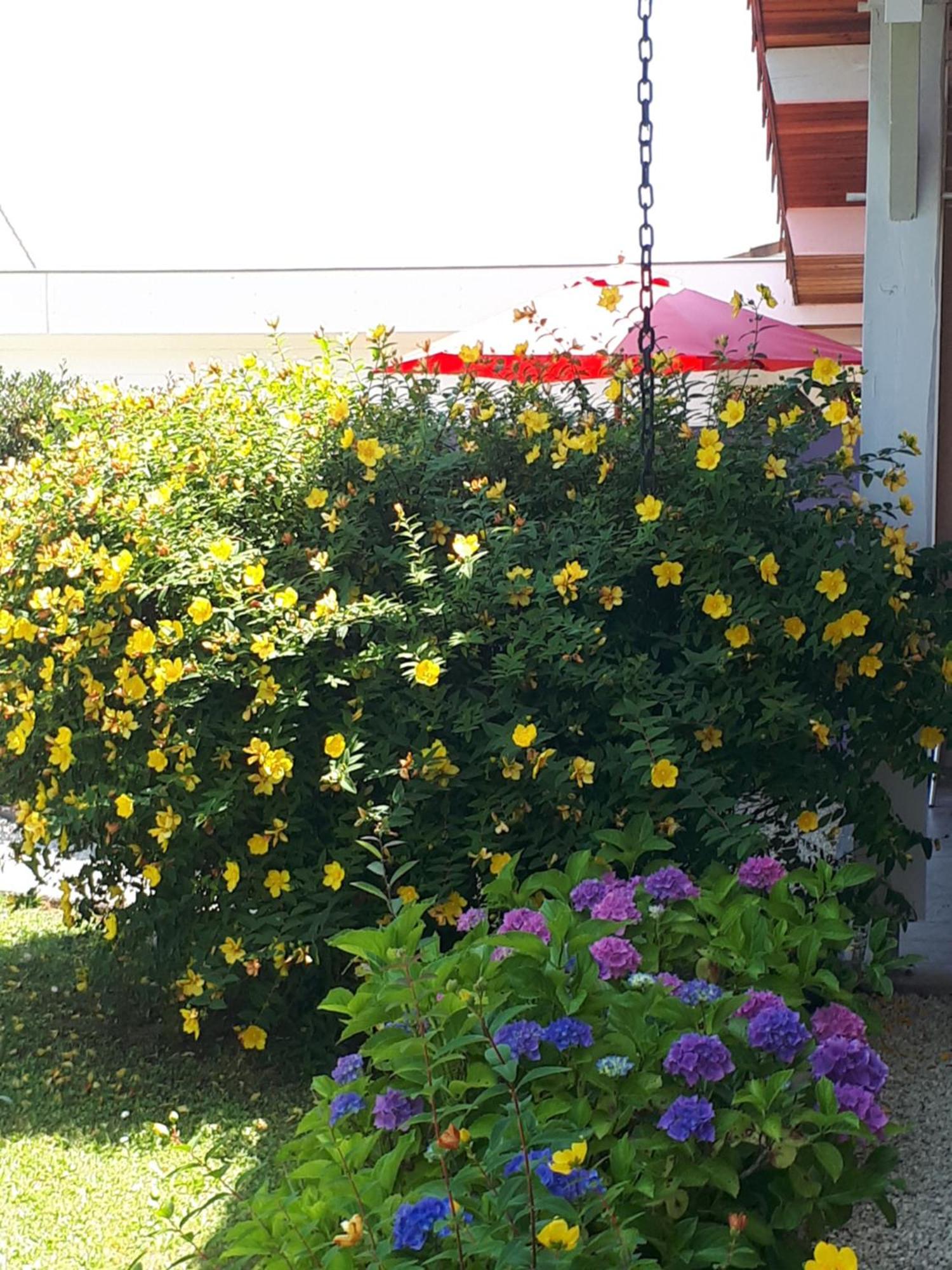 Le Soleil Couchant Angresse Pokój zdjęcie